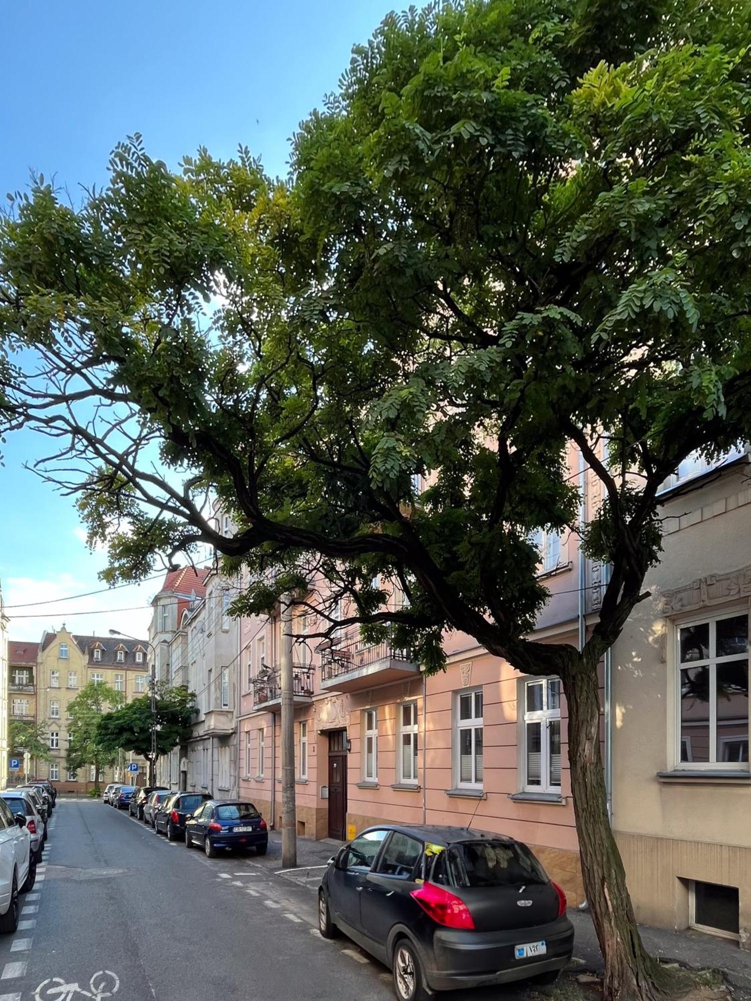 Apartament Dlugosza 3 - Jak W Domu - Idealny Na Dlugie Pobyty I Weekendy 比得哥什 外观 照片